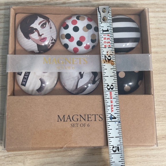 Papyrus glass dome 6 magnets fashion be beautiful New - Picture 15 of 15